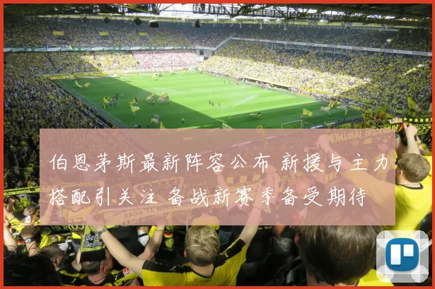 伯恩茅斯最新阵容公布 新援与主力搭配引关注 备战新赛季备受期待