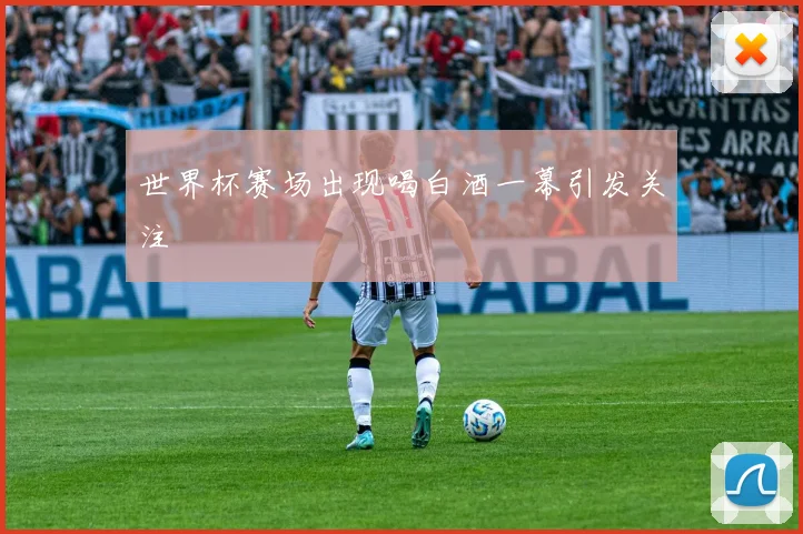 世界杯赛场出现喝白酒一幕引发关注