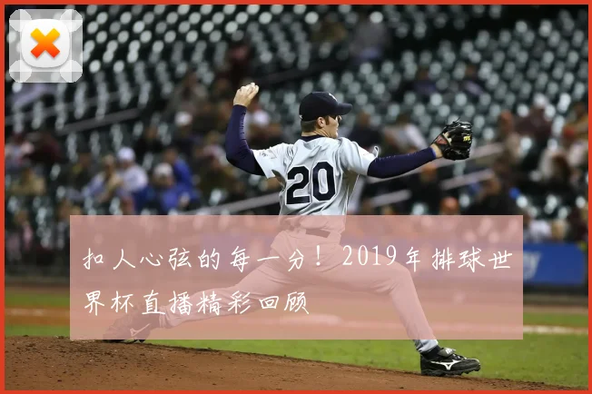 扣人心弦的每一分！2019年排球世界杯直播精彩回顾