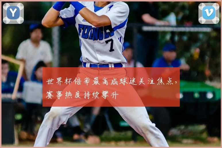 世界杯倍率最高成球迷关注焦点，赛事热度持续攀升
