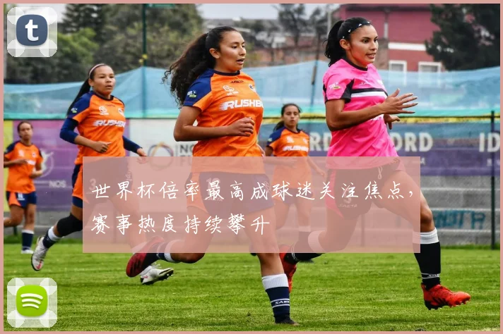 世界杯倍率最高成球迷关注焦点，赛事热度持续攀升